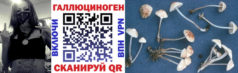 Псилоцибиновые грибы мухоморы  Углегорск 